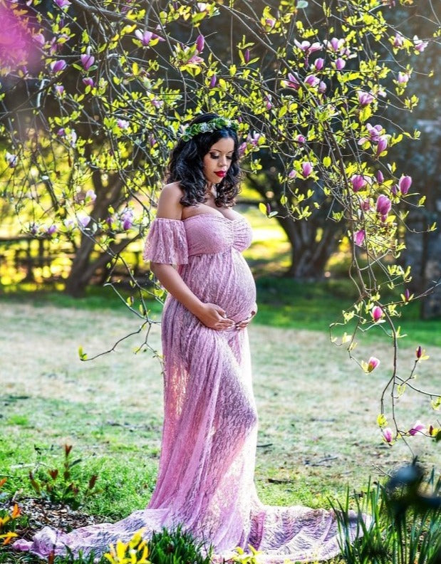 http://shopchicaboo.com/cdn/shop/products/dusty-rose-sheer-lace-willow-maternity-gown-231650.jpg?v=1690496132