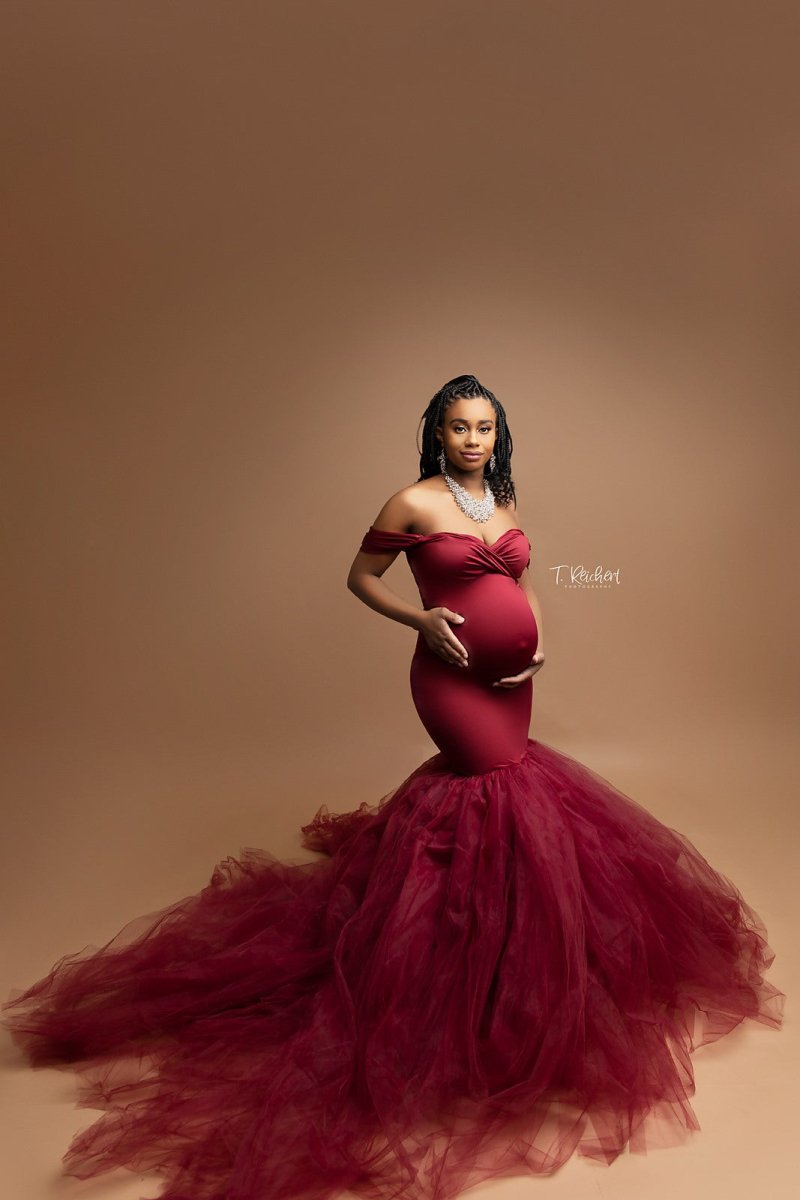 Ariel 2 - Piece Maternity Photoshoot Dress | Garnet Jersey Top & Convertible Tulle Tube Skirt, One Size - Chicaboo