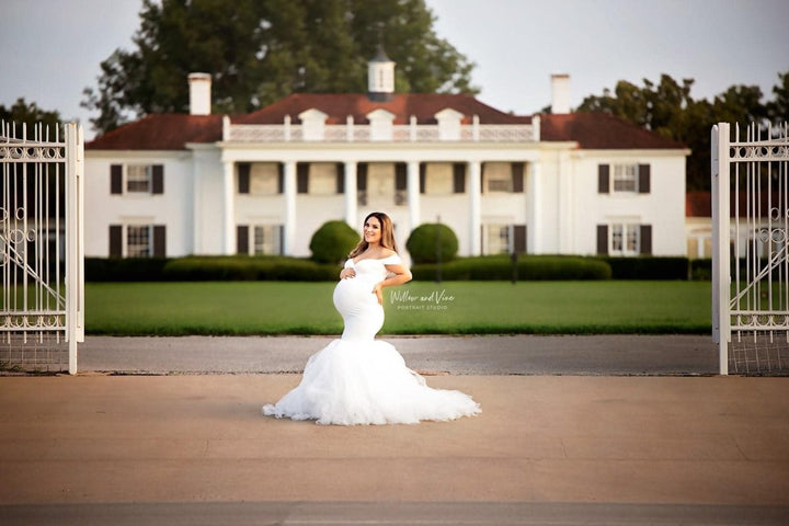 Ariel 2 - Piece Maternity Photoshoot Dress | Pearl Jersey Top & Convertible Tulle Tube Skirt, One Size - Chicaboo