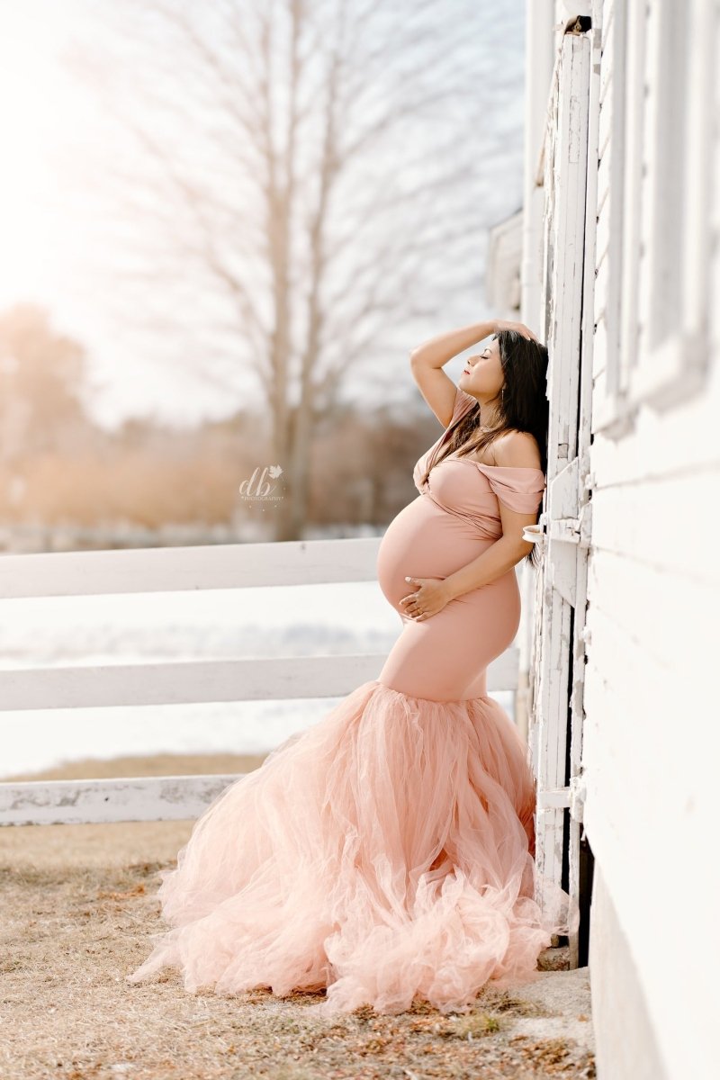 Ariel 2 - Piece Maternity Photoshoot Dress | Rosegold Jersey Top & Convertible Tulle Tube Skirt, One Size - Chicaboo