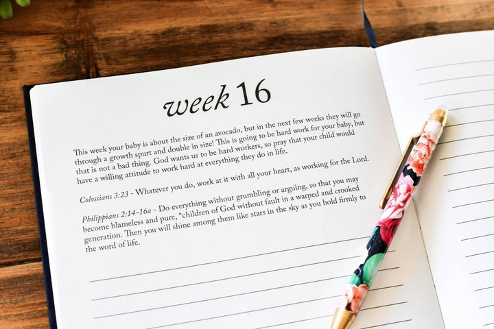 Dear Baby: Pregnancy Prayer Journal - Chicaboo