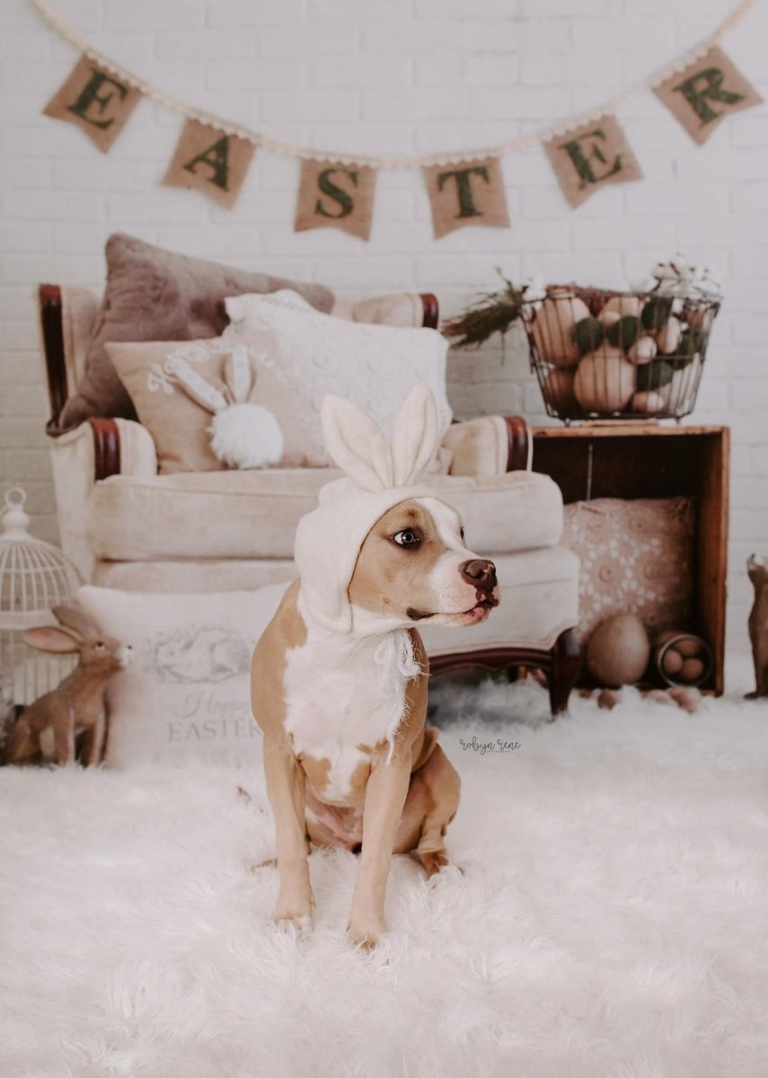 Infant Bunny Bonnet | Cream Rabbit Easter Hat Sitter Photo Prop - Chicaboo