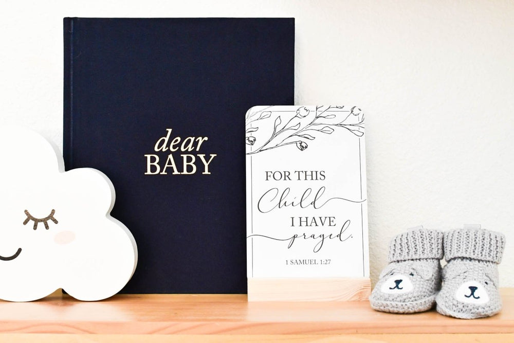 Pregnancy Gift Bundle - Chicaboo