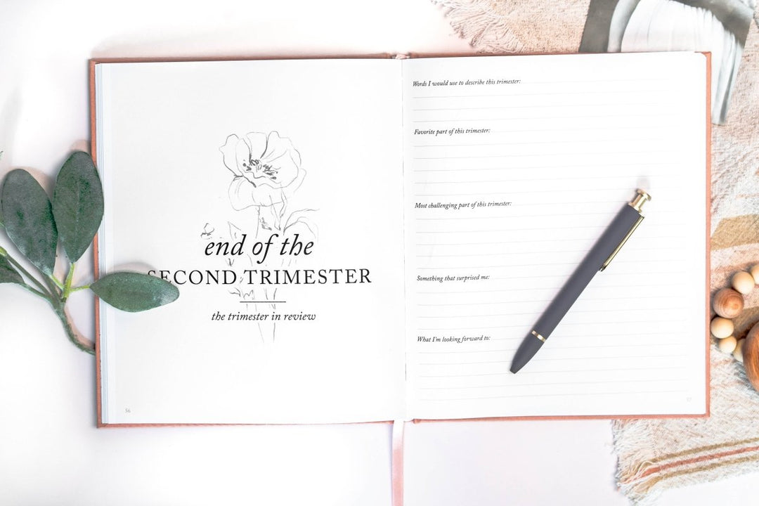 Pregnancy Journal - Chicaboo