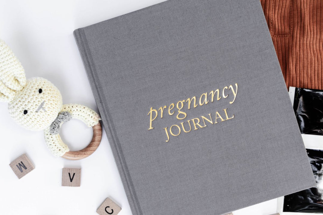 Pregnancy Journal - Chicaboo