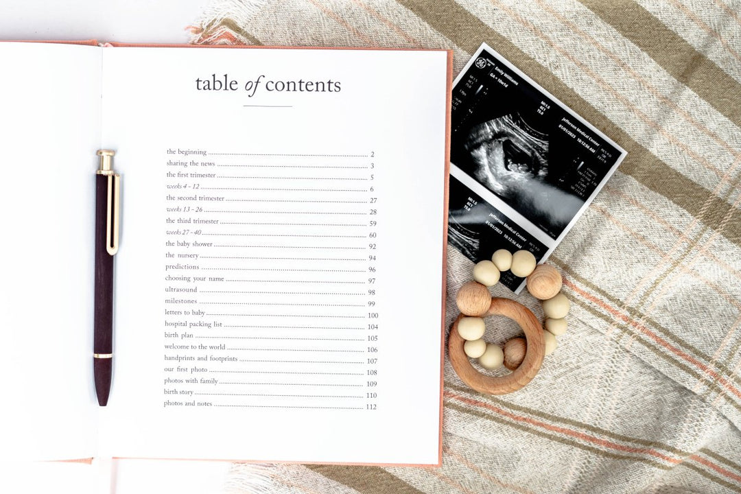 Pregnancy Journal - Chicaboo