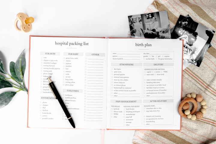 Pregnancy Journal - Chicaboo