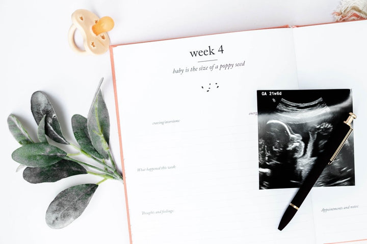 Pregnancy Journal - Chicaboo