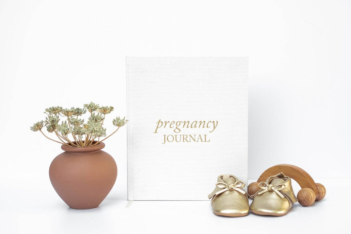 Pregnancy Journal - Chicaboo