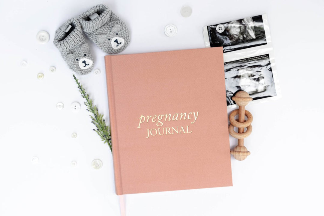 Pregnancy Journal - Chicaboo
