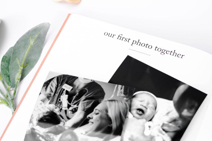 Pregnancy Journal - Chicaboo