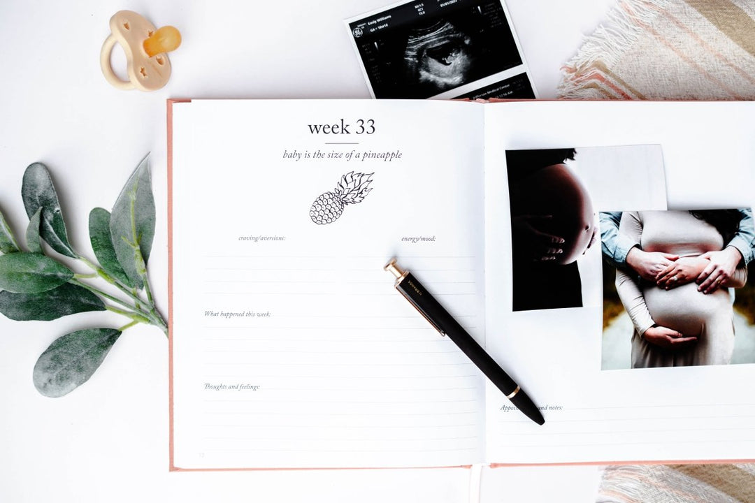 Pregnancy Journal - Chicaboo