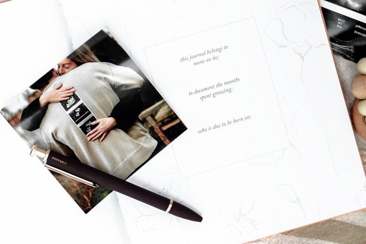 Pregnancy Journal - Chicaboo