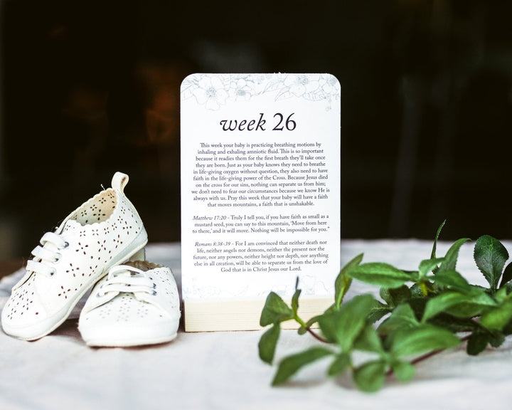Pregnancy Prayer Cards - Chicaboo