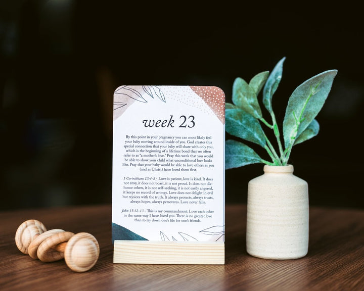 Pregnancy Prayer Cards - Chicaboo