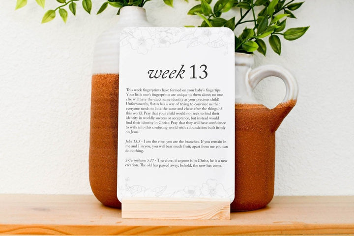 Pregnancy Prayer Cards - Chicaboo