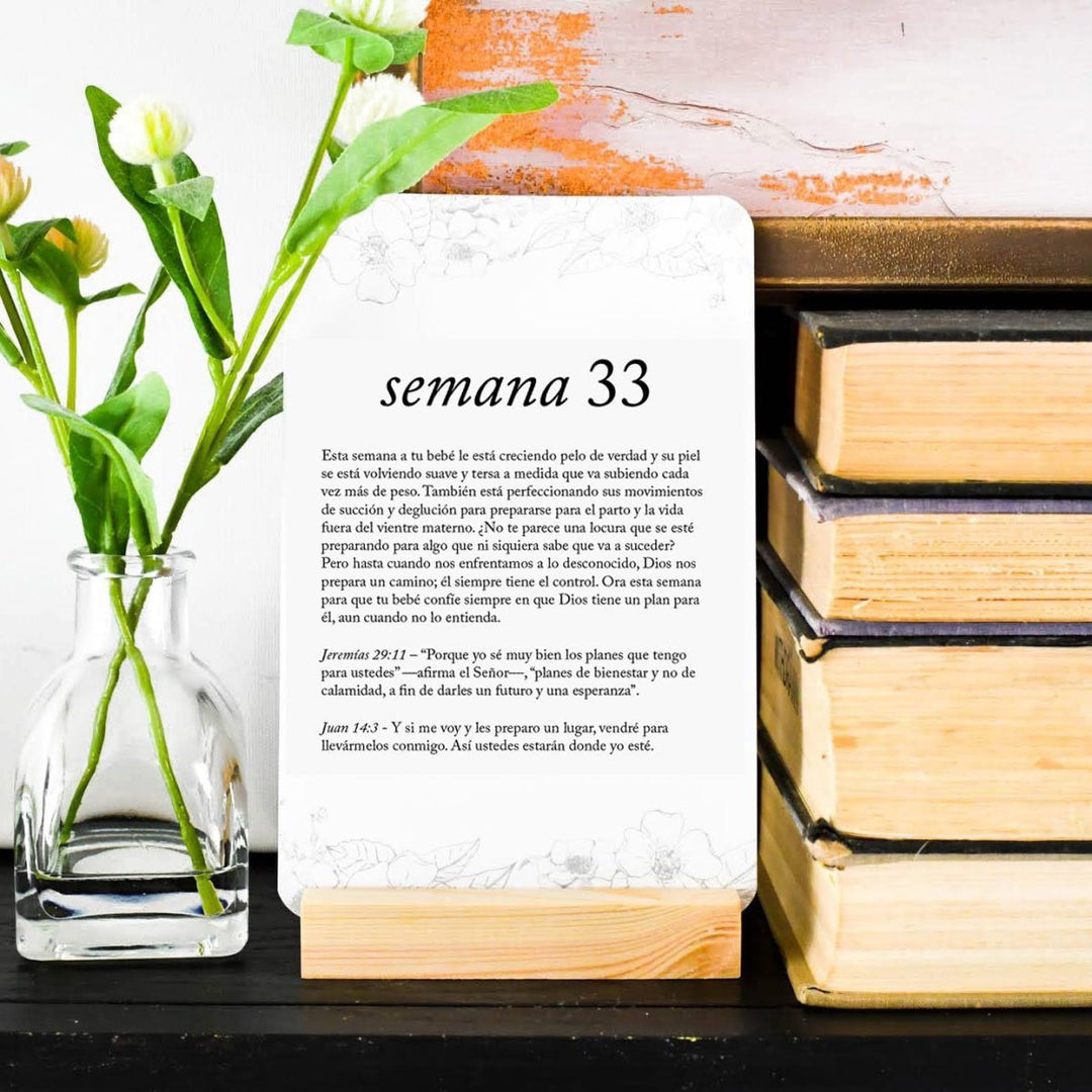 Spanish Pregnancy Prayer Cards - Chicaboo