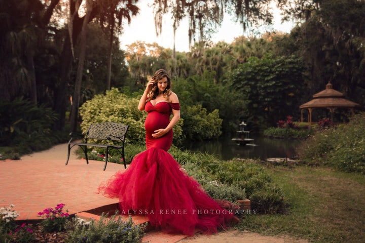 Garnet Red Ariel Maternity Photoshoot Dress Onesize - Chicaboo
