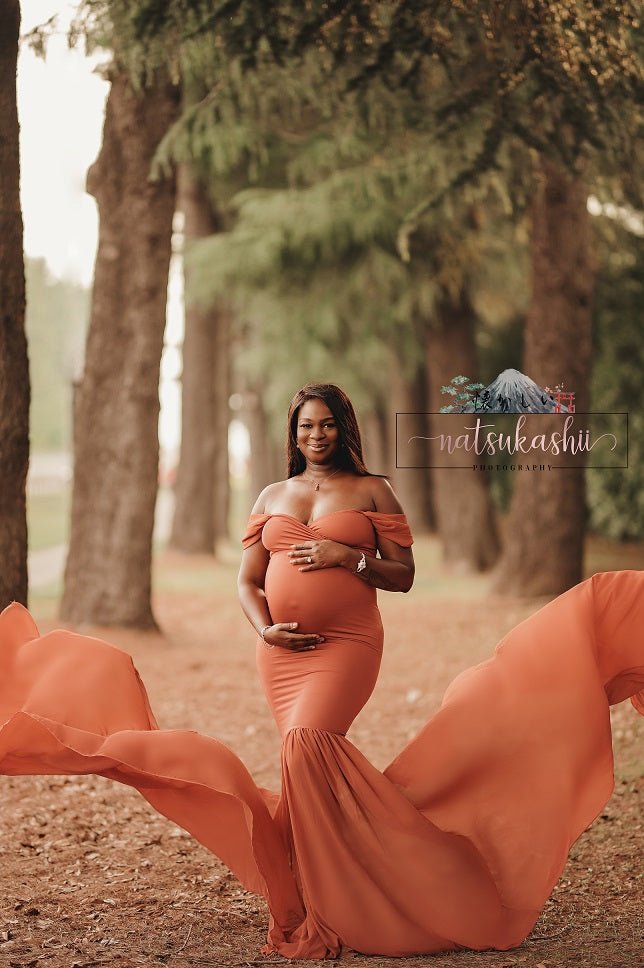 Monroe Maternity Photoshoot Gown| Rust Jersey & Chiffon Tossing Train, One Size Monroe Maternity Photoshoot Gown| Rust Jersey & Chiffon Tossing Train, One Size