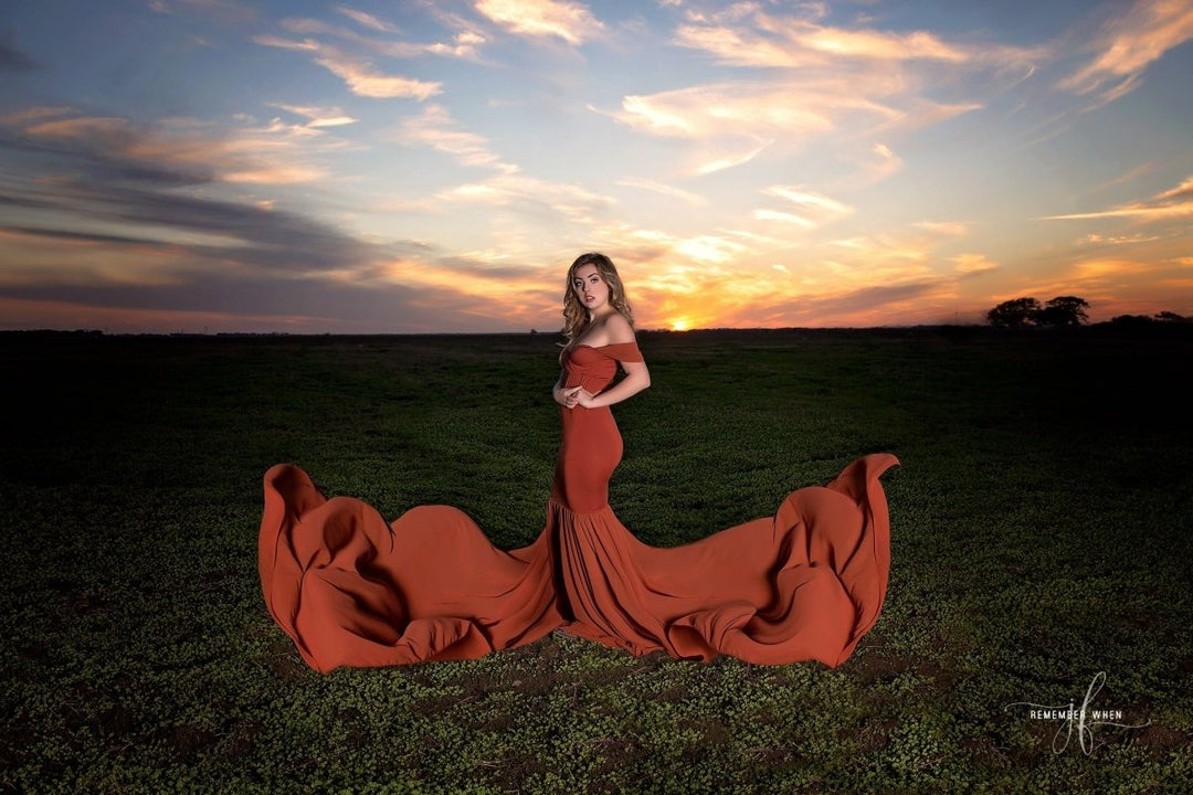 Terra Cotta Rose Monroe Maternity Gown with tossing train One-Size - Chicaboo